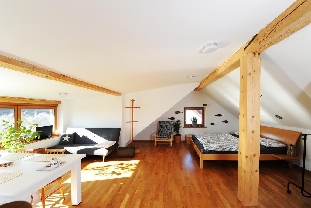 Apartment Riba Skofljica Екстер'єр фото